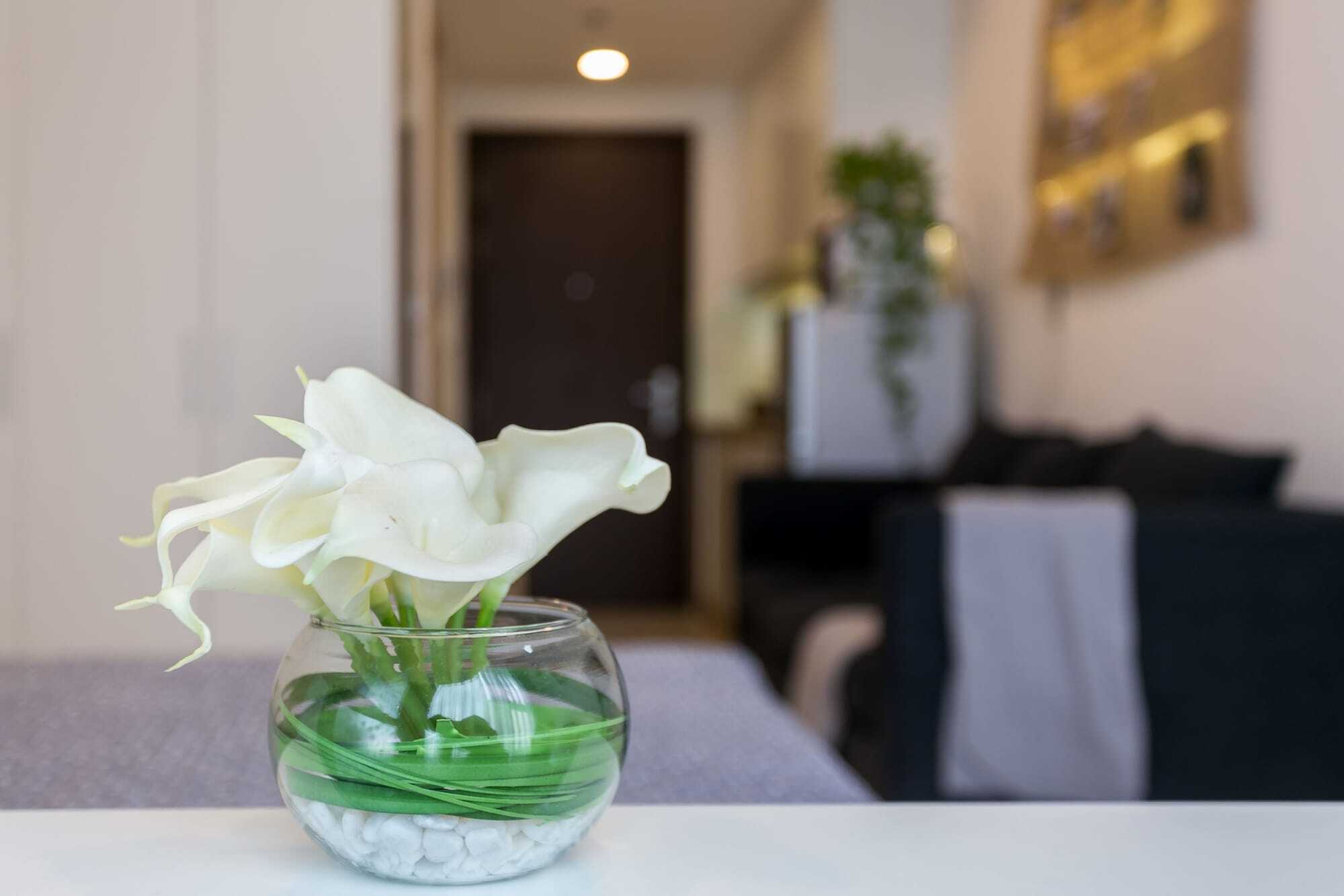 הו צ'י מין סיטי Macy Studio Apartment מראה חיצוני תמונה